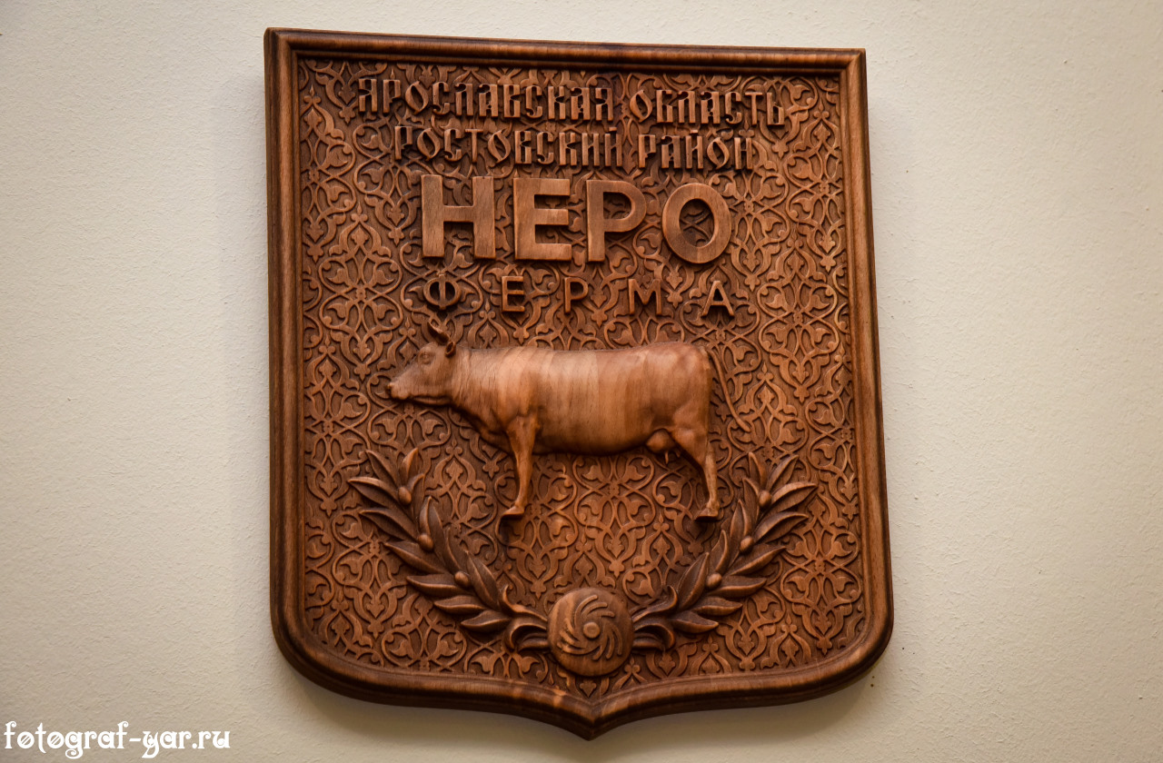 Нероферма Ростов Великий, репортажная фотосъемка в Ярославле, губернатор на открытии молочной фермы